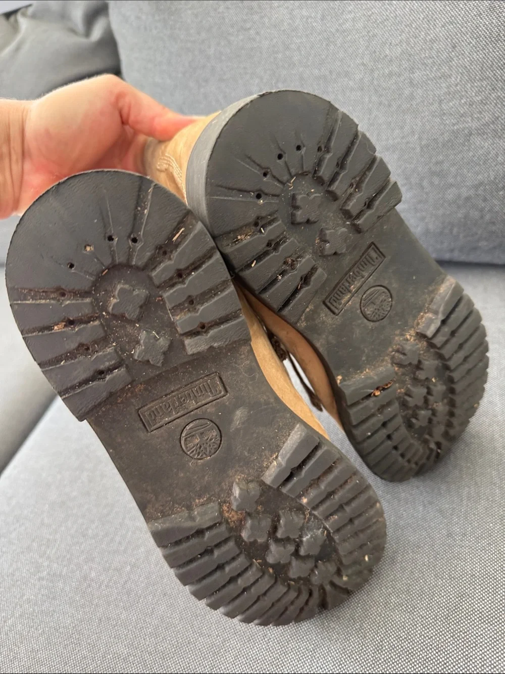 Timberland junior premium